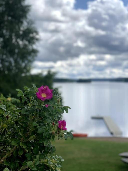 Large Cozy Villa Between Stockholm And Oslo Åmotfors 外观 照片