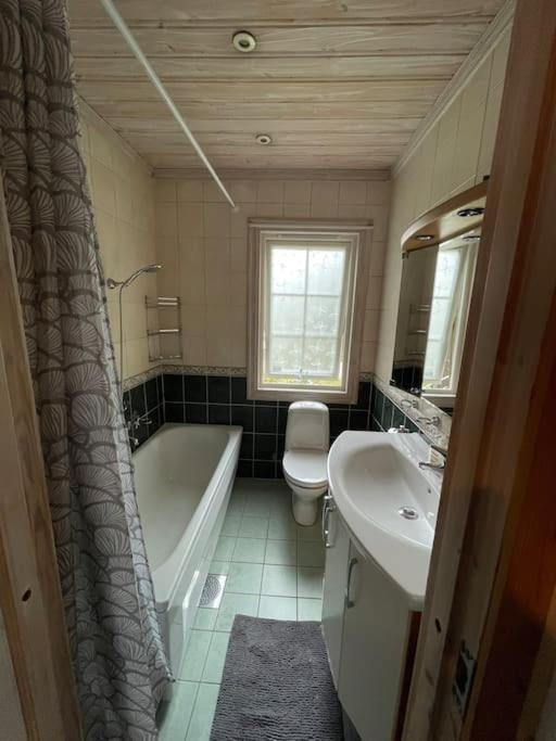Large Cozy Villa Between Stockholm And Oslo Åmotfors 外观 照片